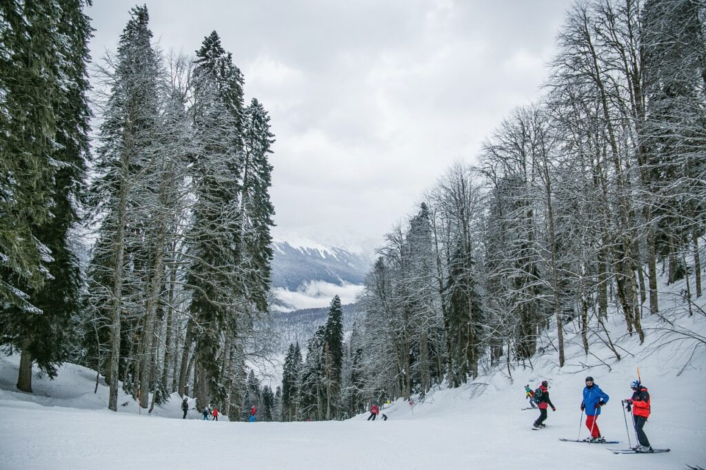 snow, skiing, people-5828736.jpg